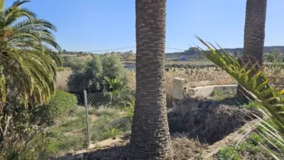 Rustic house in Novelda photo 19