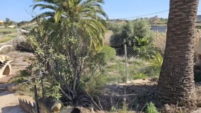 Rustic house in Novelda photo 7