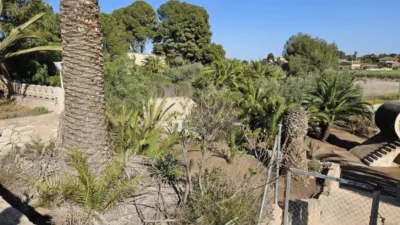Rustic house in Novelda photo 9