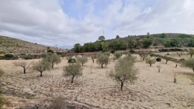 Casa – Monòver - Monóvar - Vista 5