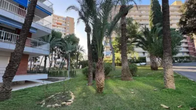 Apartment in Playa de San Juan photo 17