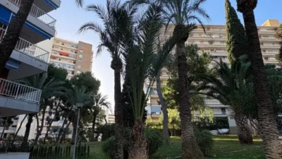 Apartment in Playa de San Juan photo 18
