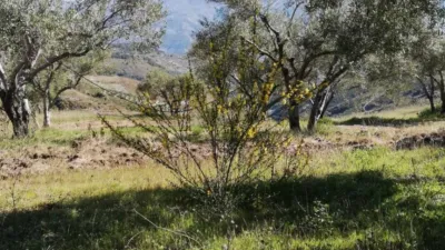 Rustic house in Pinos del Valle photo 10