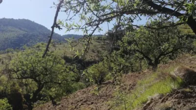 Rustic house in Pinos del Valle photo 16