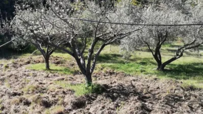 Rustic house in Pinos del Valle photo 19