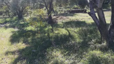 Rustic house in Pinos del Valle photo 4