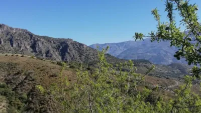 Rustic house in Pinos del Valle photo 7