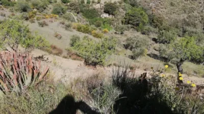 Rustic house in Pinos del Valle photo 8