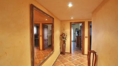 Chalet in Formentera del Segura photo 3