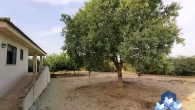 Chalet in Lorca photo 21