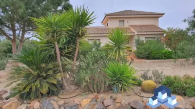 Chalet in Lorca photo 3