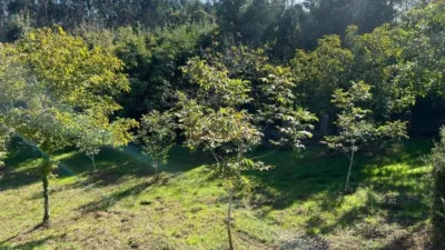 House for sale in A Calzada (Cedeira) photo 6