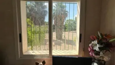 Chalet in Callosa de Segura photo 17