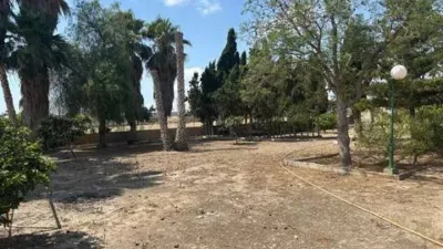 Chalet in Callosa de Segura photo 31