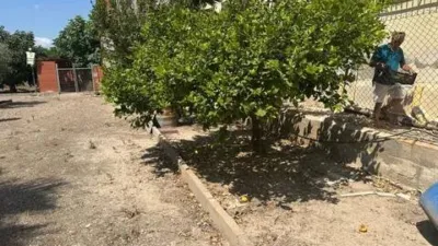 Chalet in Callosa de Segura photo 46