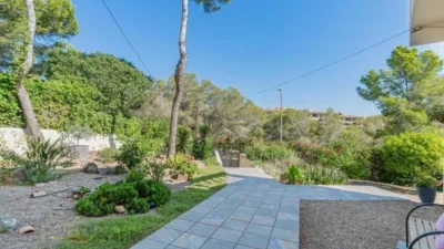 Chalet in Calvià photo 41