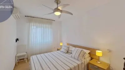 Apartment on Eucalipto Street photo 12