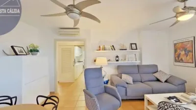 Apartment on Eucalipto Street photo 7