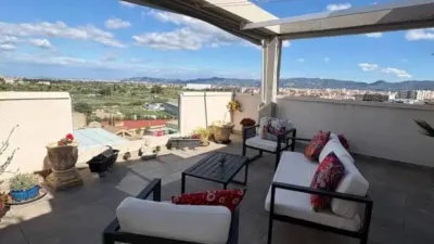 Chalet in Murcia City photo 9
