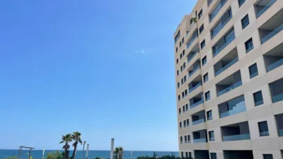 Pis - Vista 2