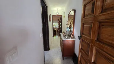 House in the Centre photo 22
