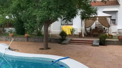 House in the Centre photo 26