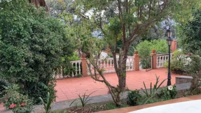 House in the Centre photo 33