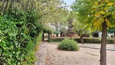 Chalet in Pedanías and Rural Districts photo 15