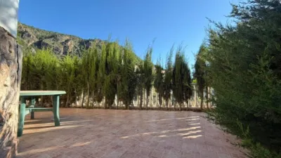 Apartment in Algezares photo 34