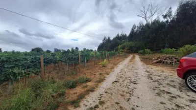 Chalet in As Cortes (Leiro) photo 2