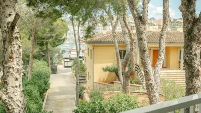 Duplex in Calvià photo 29
