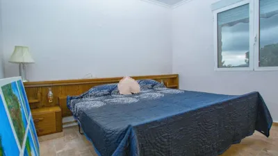 Chalet in Elche photo 48