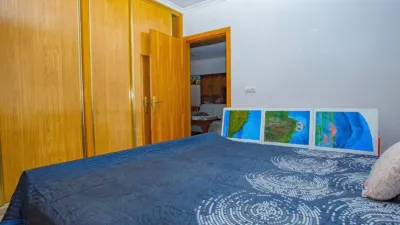 Chalet in Elche photo 49
