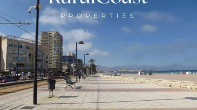 Apartment in Mutxamel photo 49