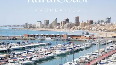 Apartment in Mutxamel photo 51