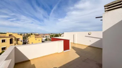 House in Algorfa photo 36