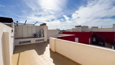 House in Algorfa photo 40