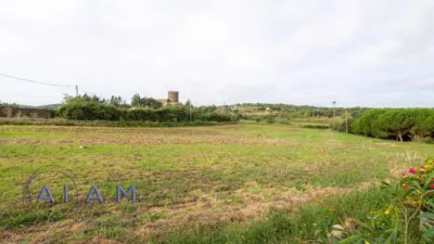 Rustic house in Maçanet de la Selva photo 28