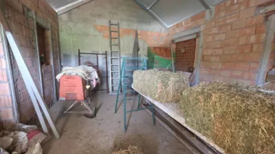 Rustic house in Centro photo 11
