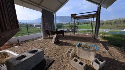 Rustic house in Centro photo 13