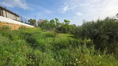 Rustic house in Centro photo 20