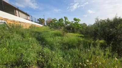 Rustic house in Centro photo 21
