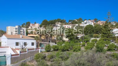House in L'Olla photo 19