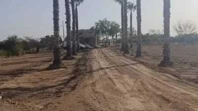 Casa – Callosa de Segura, San Pedro, Vereda de los Cubos - Vista 5