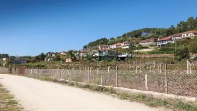 House in A Groba (Ribadavia) photo 4