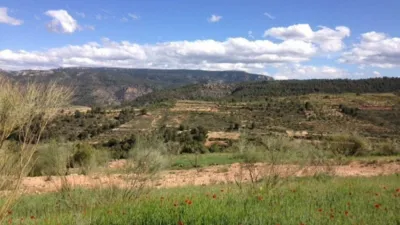 Terreno en venta en Beg - Vista 2