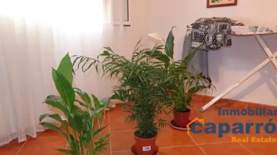 Chalet in Sorbas photo 17
