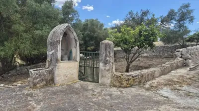 Rustic house in Sineu photo 10