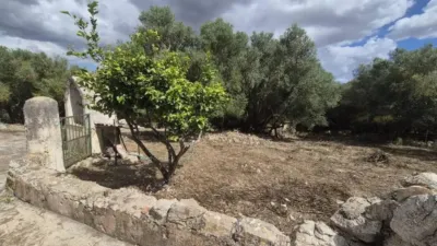 Rustic house in Sineu photo 11