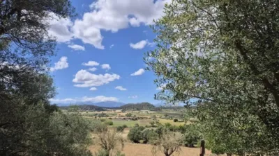 Rustic house in Sineu photo 14
